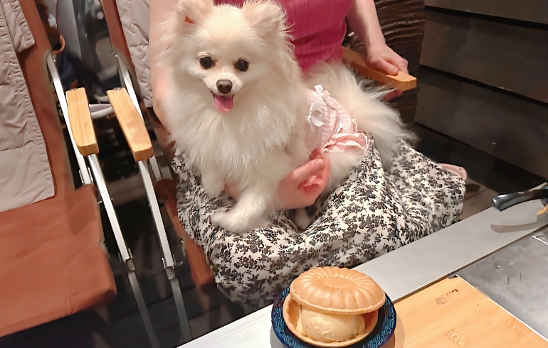 バニラアイスを挟んだ「もなか（最中）」とゆめちゃん