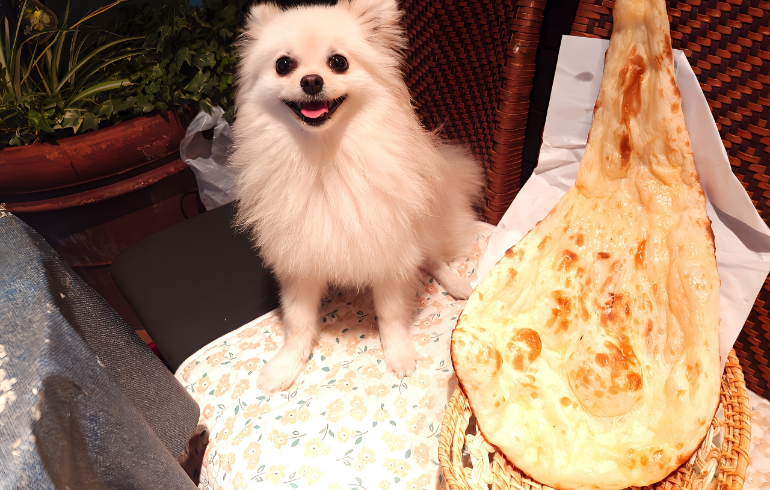 ナン