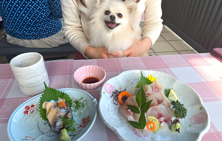 単品メニュー1