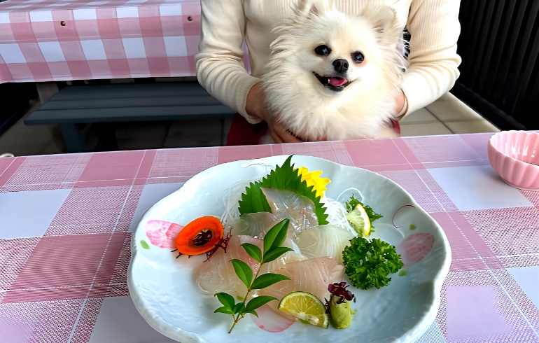 単品メニュー2