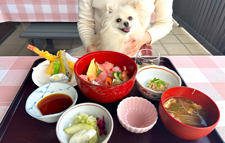 「和食ことしろ」のメイン画像です。