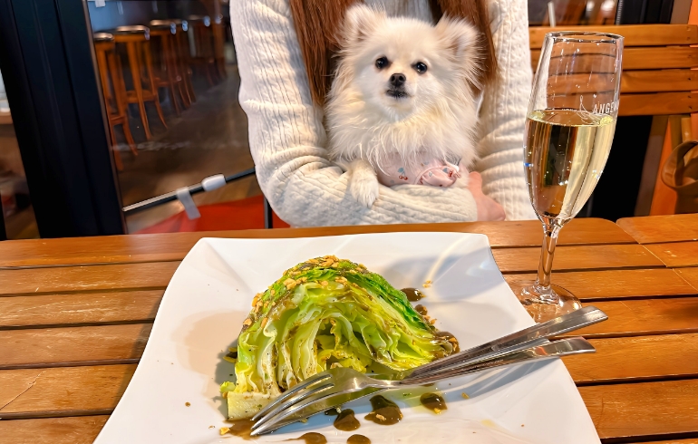 アンチョビキャベツとゆめちゃん
