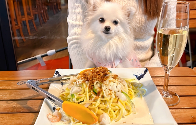 気まぐれ生パスタとゆめちゃん