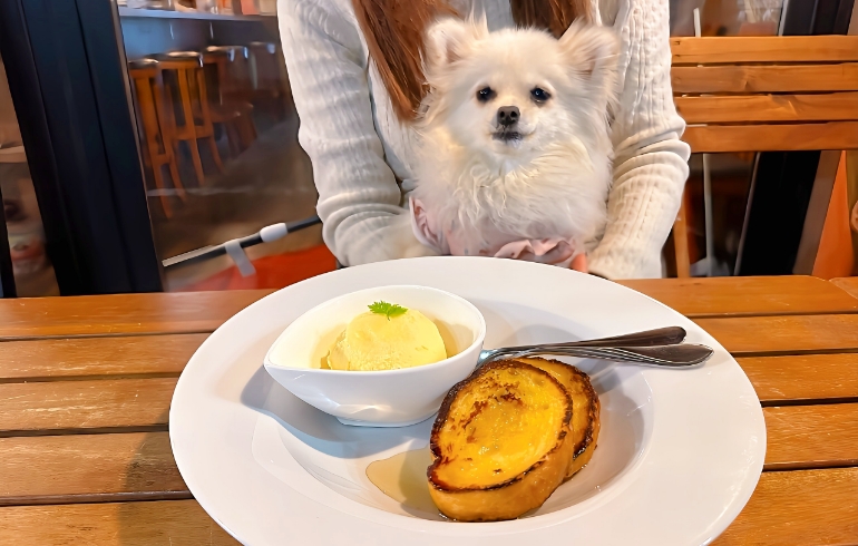 フレンチトーストとゆめちゃん