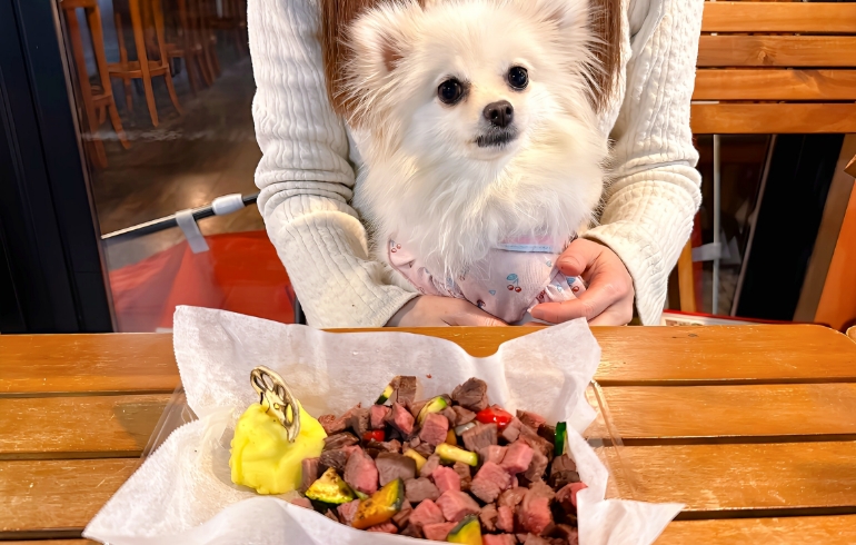 ワンチャンのご飯（​メニューの「国産牛ランプステーキ」や「越後もち豚ステーキ」を、味付け無しで提供）