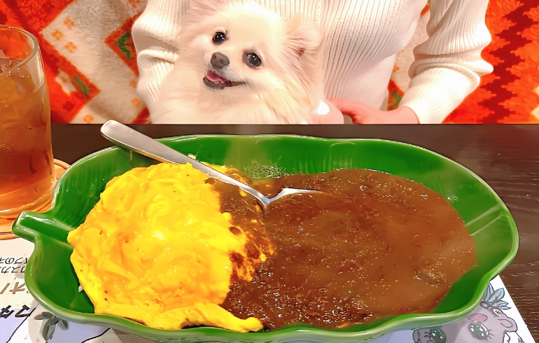 とろける玉子のオムレツ風カレー