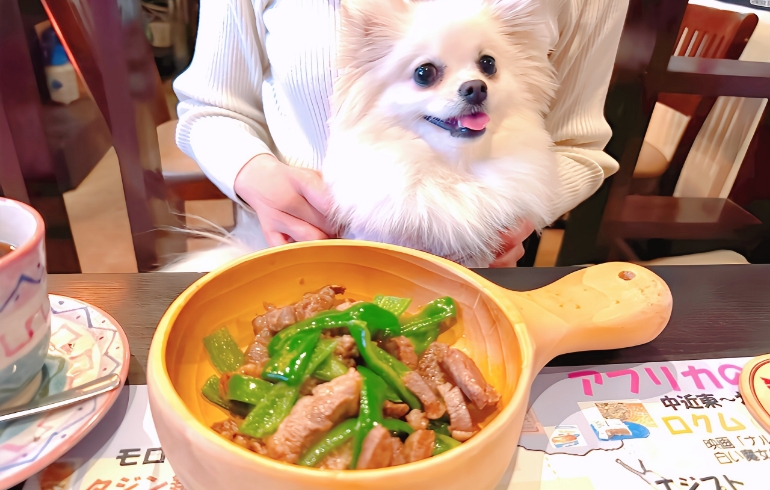 わんちゃん用の料理