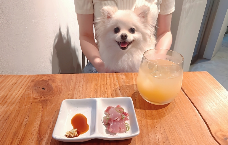 リンゴジュースとゆめちゃん