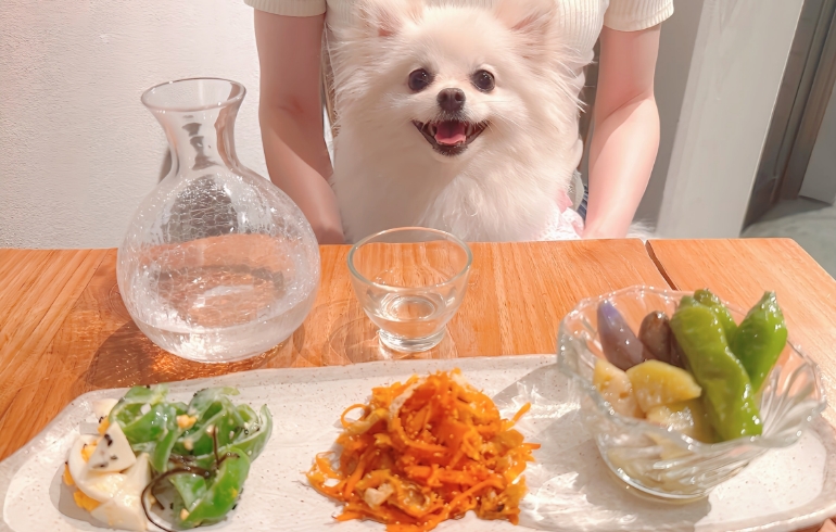 季節の3点盛り