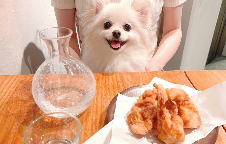 塩麹漬け唐揚げ