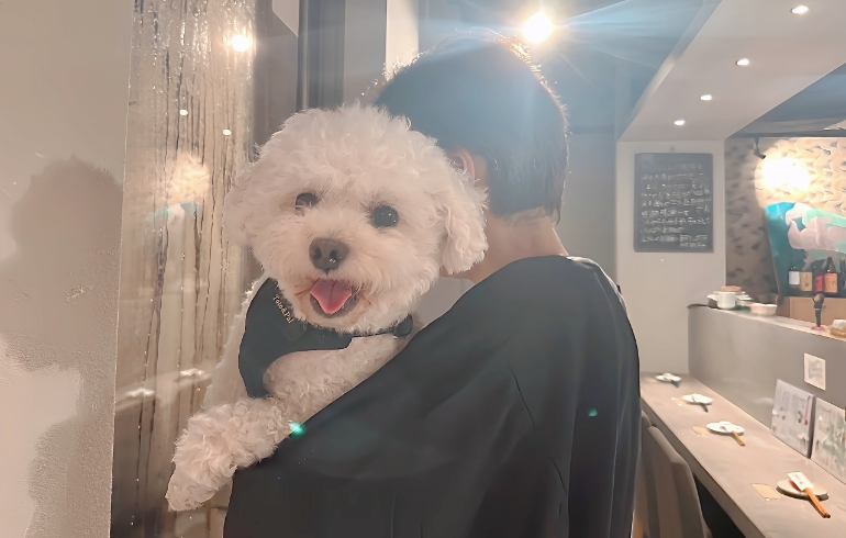 看板犬のてんちゃん1