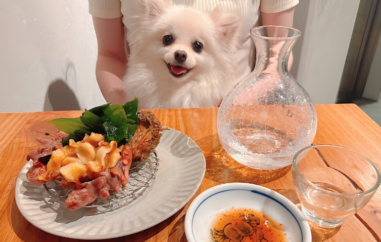 青森直送！新鮮ほや刺