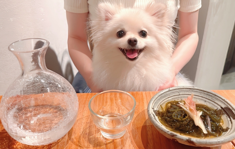 大間産木もずく酢