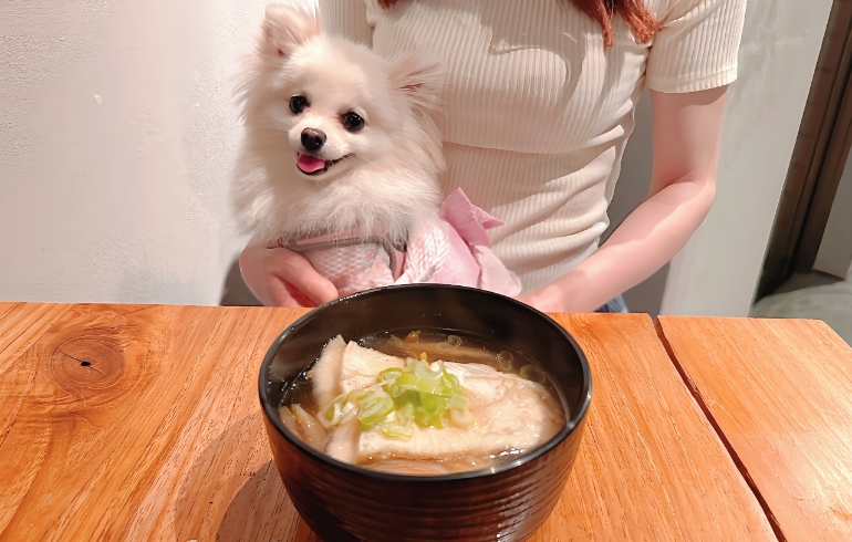 せんべい汁
