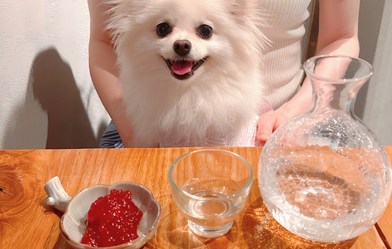筋子（すじこ）とゆめちゃん