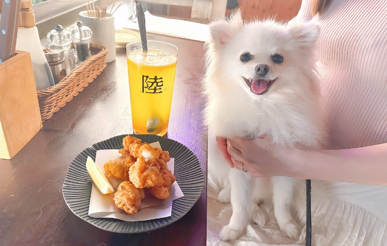 タコの唐揚げとゆめちゃん