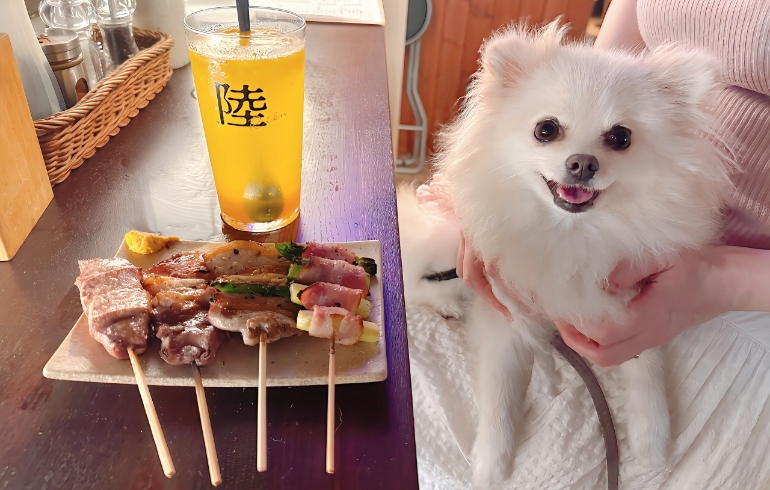 串焼き４種とゆめちゃん