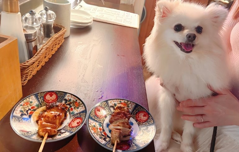 串焼き２種とゆめちゃん