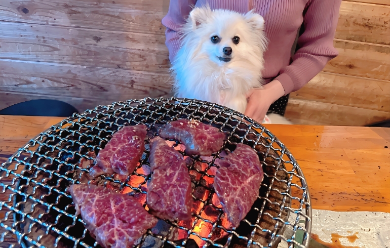 ハラミ（焼き中）とゆめちゃん