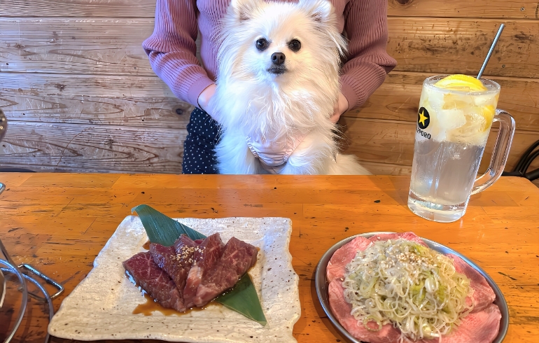 牛タンとハラミとゆめちゃん