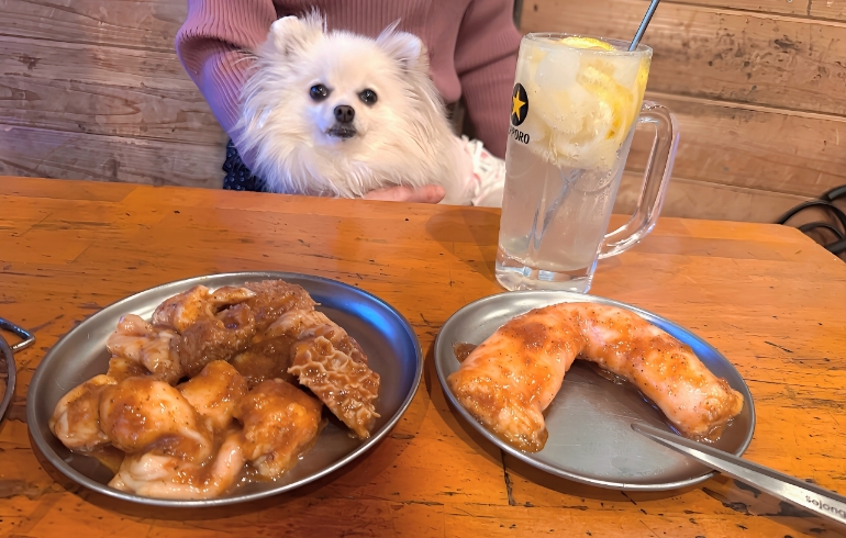 マルチョウ一本焼とホルモン闇盛りとゆめちゃん
