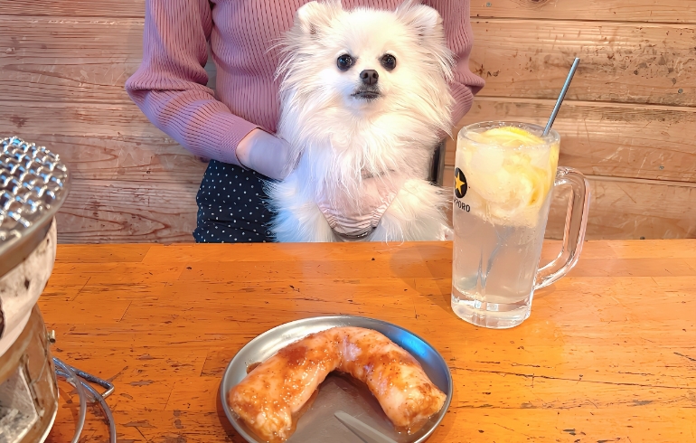 豪快!!マルチョウ一本焼とゆめちゃん