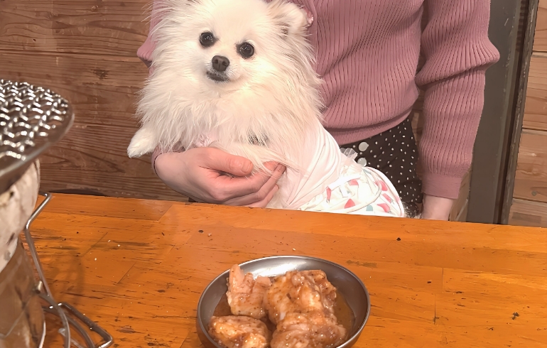 ミノサンドとゆめちゃん
