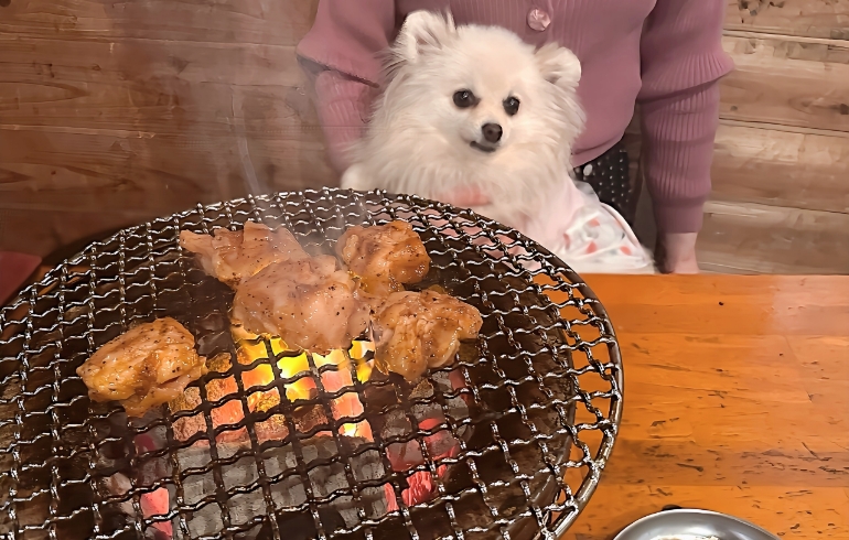 ミノサンド（焼き中）とゆめちゃん