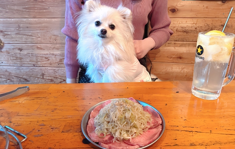 ネギだく上タン塩とゆめちゃん