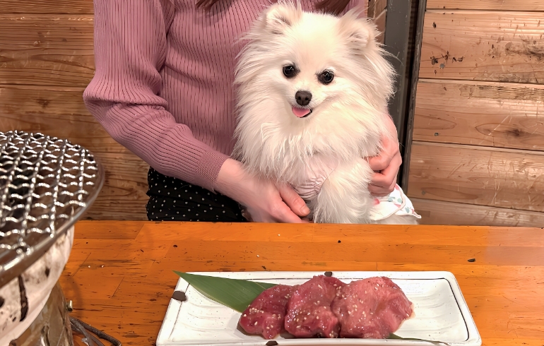 厚切りタンとゆめちゃん
