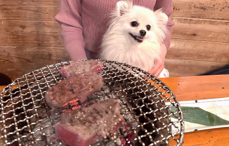 厚切りタン（焼き）とゆめちゃん