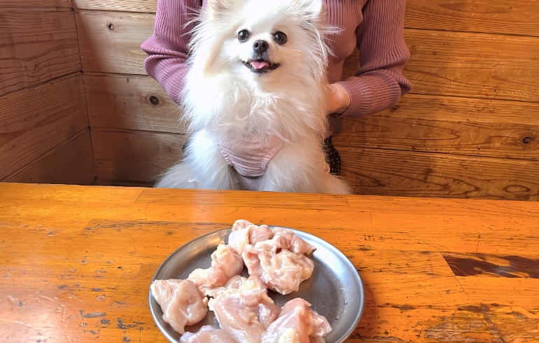 ゆめちゃんと鶏もも