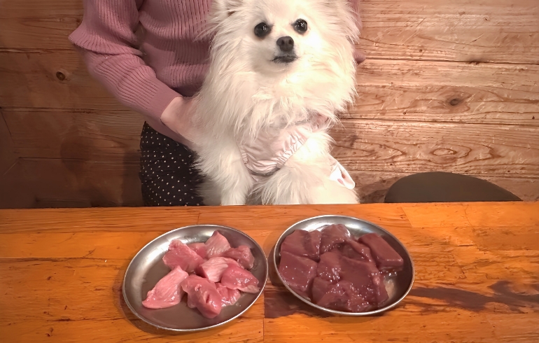 ゆめちゃんと砂肝とレバー
