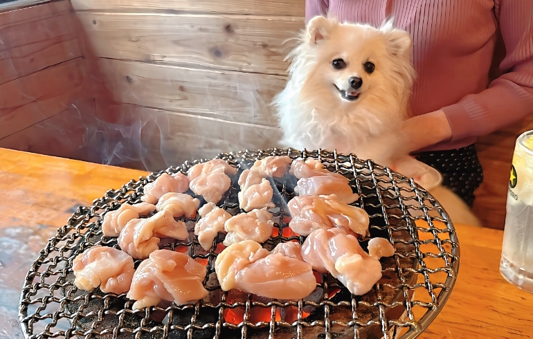 ゆめちゃんと砂肝（焼き中）