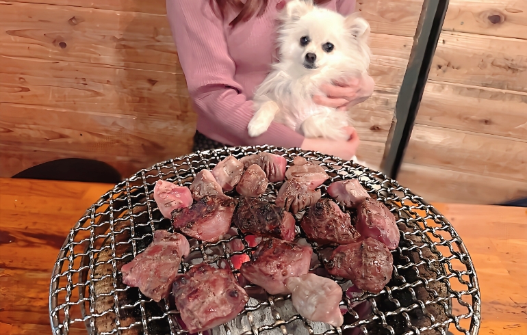 ゆめちゃんと砂肝とレバー（焼き）