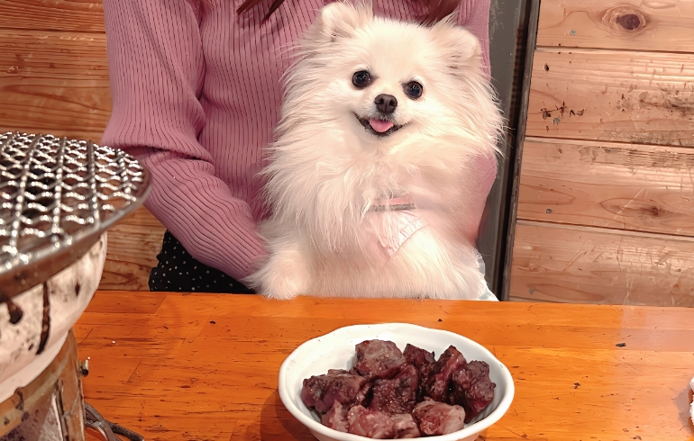 ゆめちゃんと砂肝とレバー（焼き後）