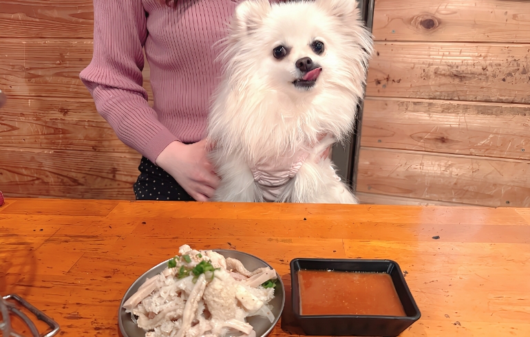 ホルモンごちゃ刺しとゆめちゃん