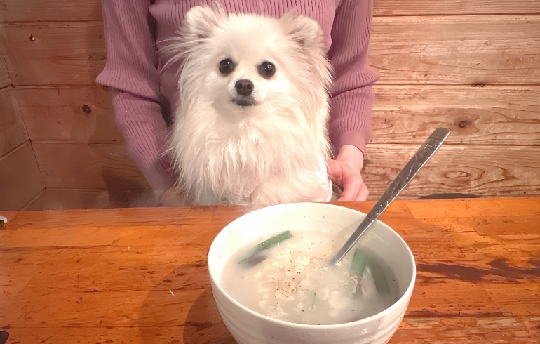 骨スープとゆめちゃん