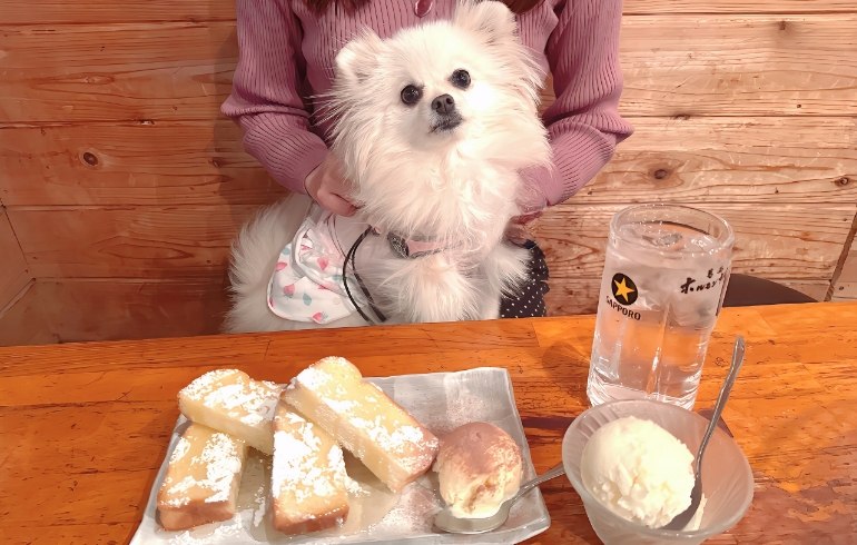 炭火焼きハニートーストとゆめちゃん