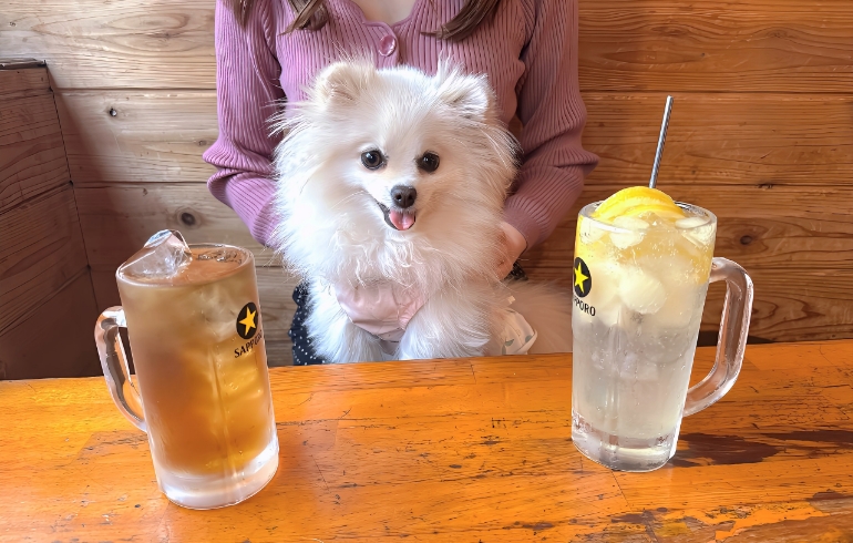 ドリンクとゆめちゃん