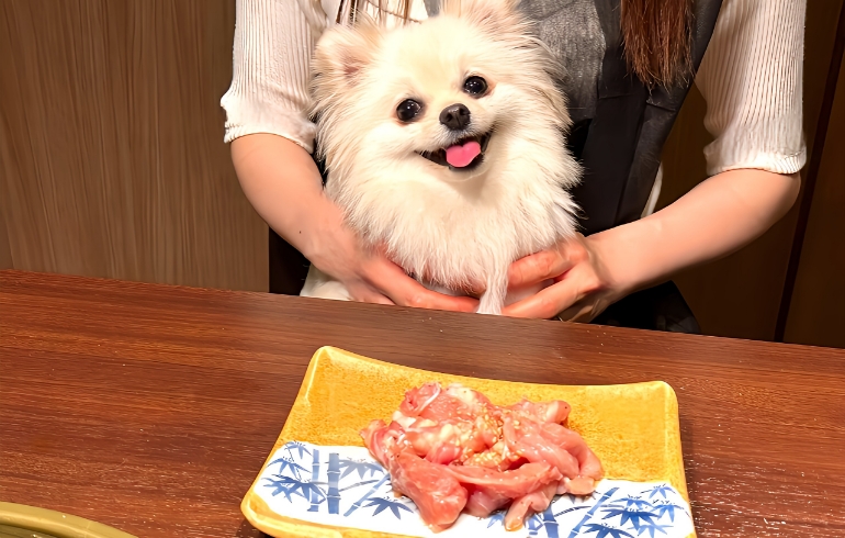 鶏せせり1