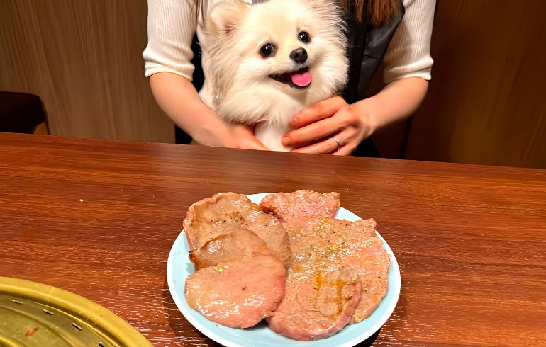 焼肉16