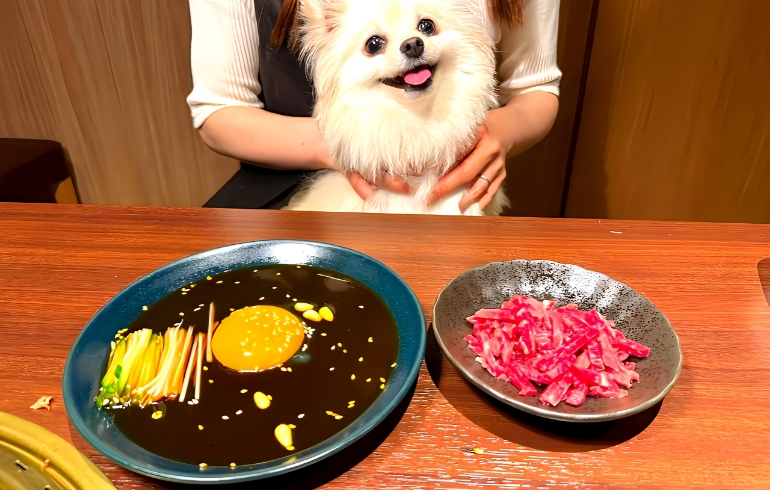 黒毛和牛ユッケ1