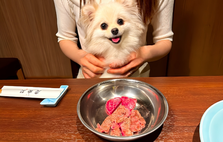 犬用のお肉2