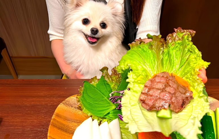 健康野菜セット2