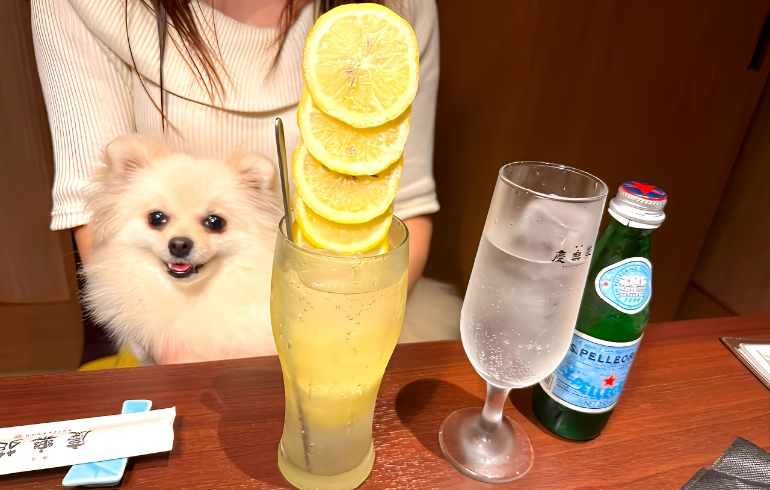 ドリンク