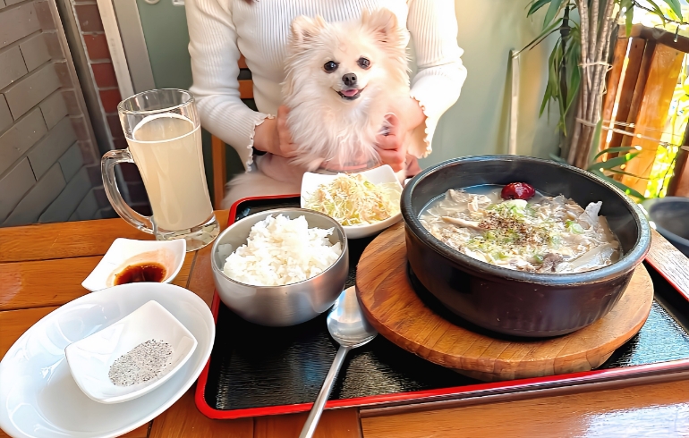参鶏湯