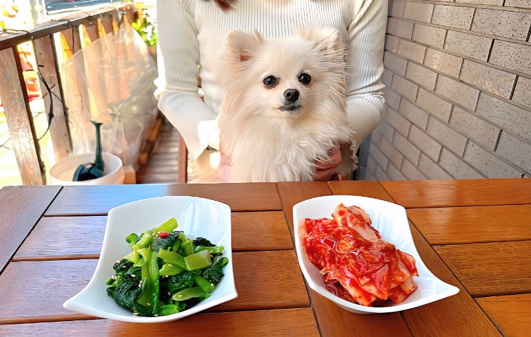 前菜