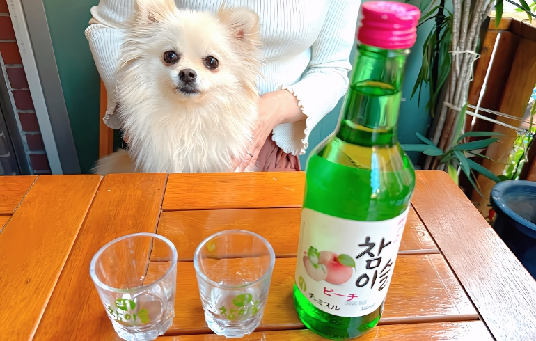 ドリンク1
