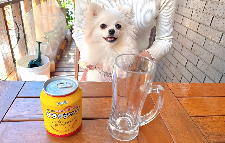 ドリンク2